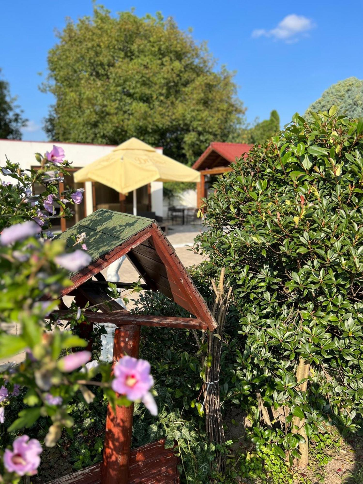 Bajor Panzio Buek-Buekfuerdo, Adults Friendly 12 Plus Exterior photo